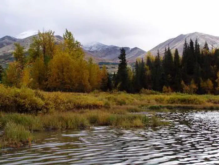 Swan Lake Cabin Seward — SWAN LAKE CABIN SEWARD3