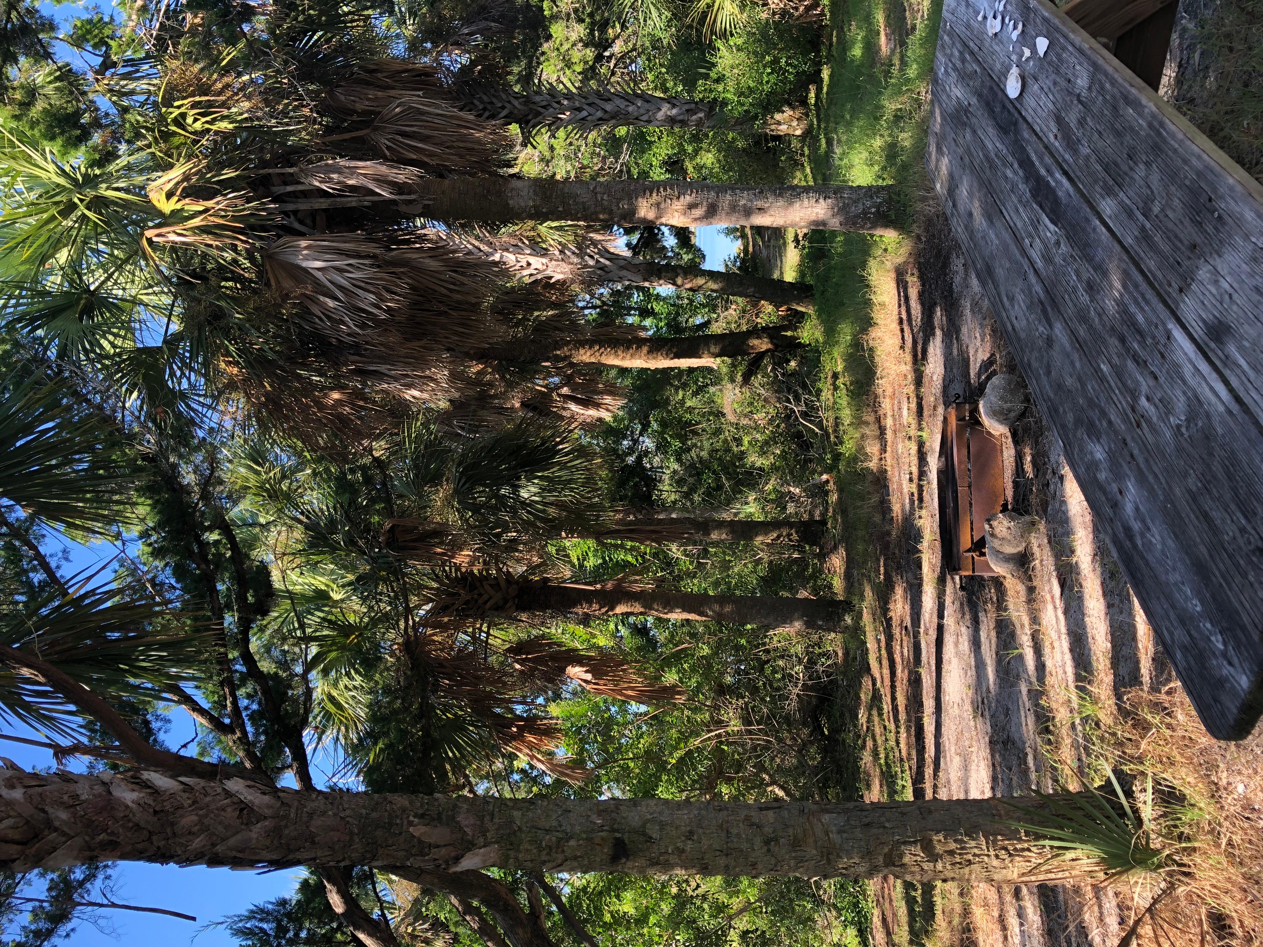 Middle Dredge Campsite — Middle Dredge Site
