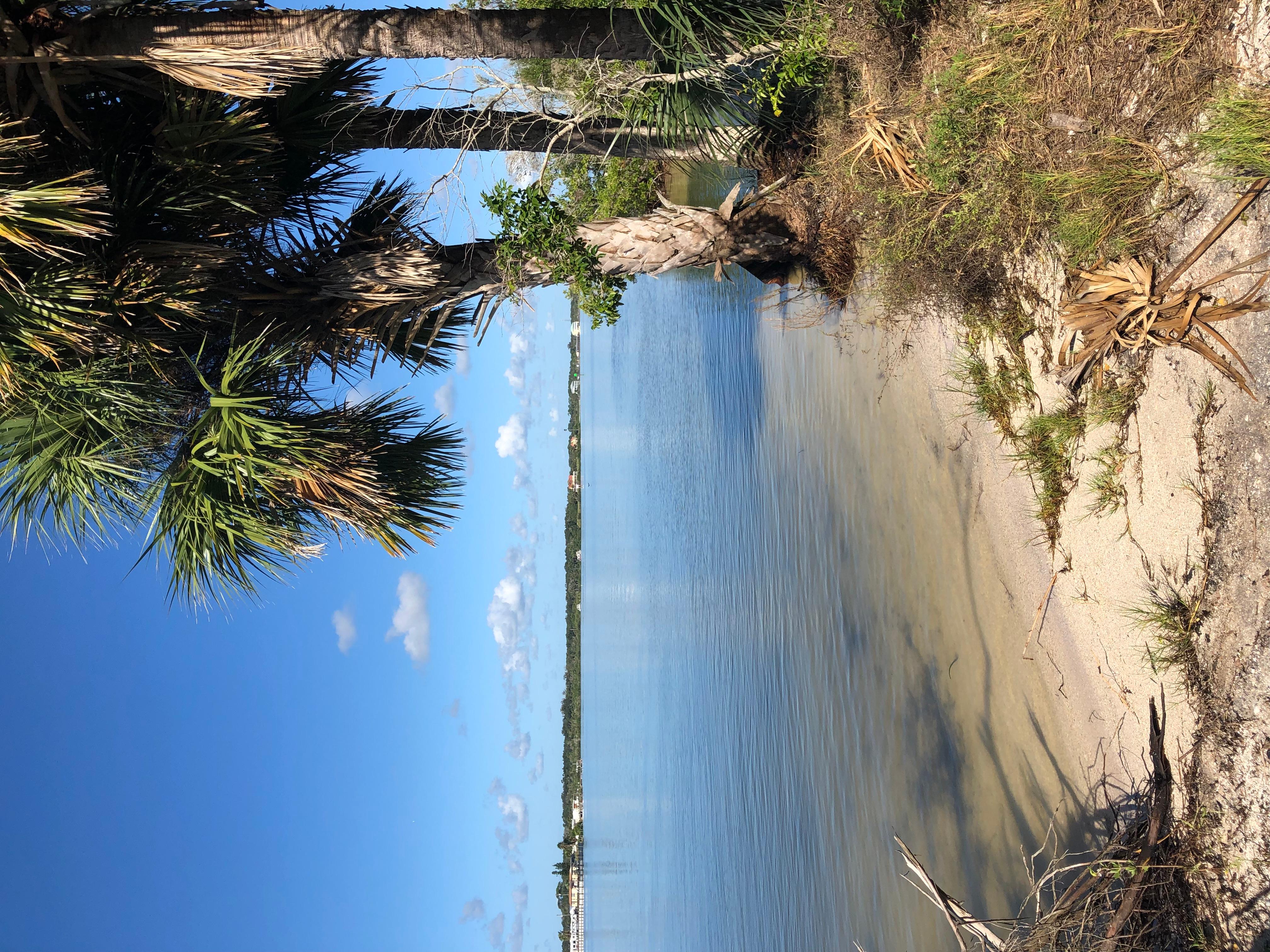 Middle Dredge Campsite — Middle Dredge West Side