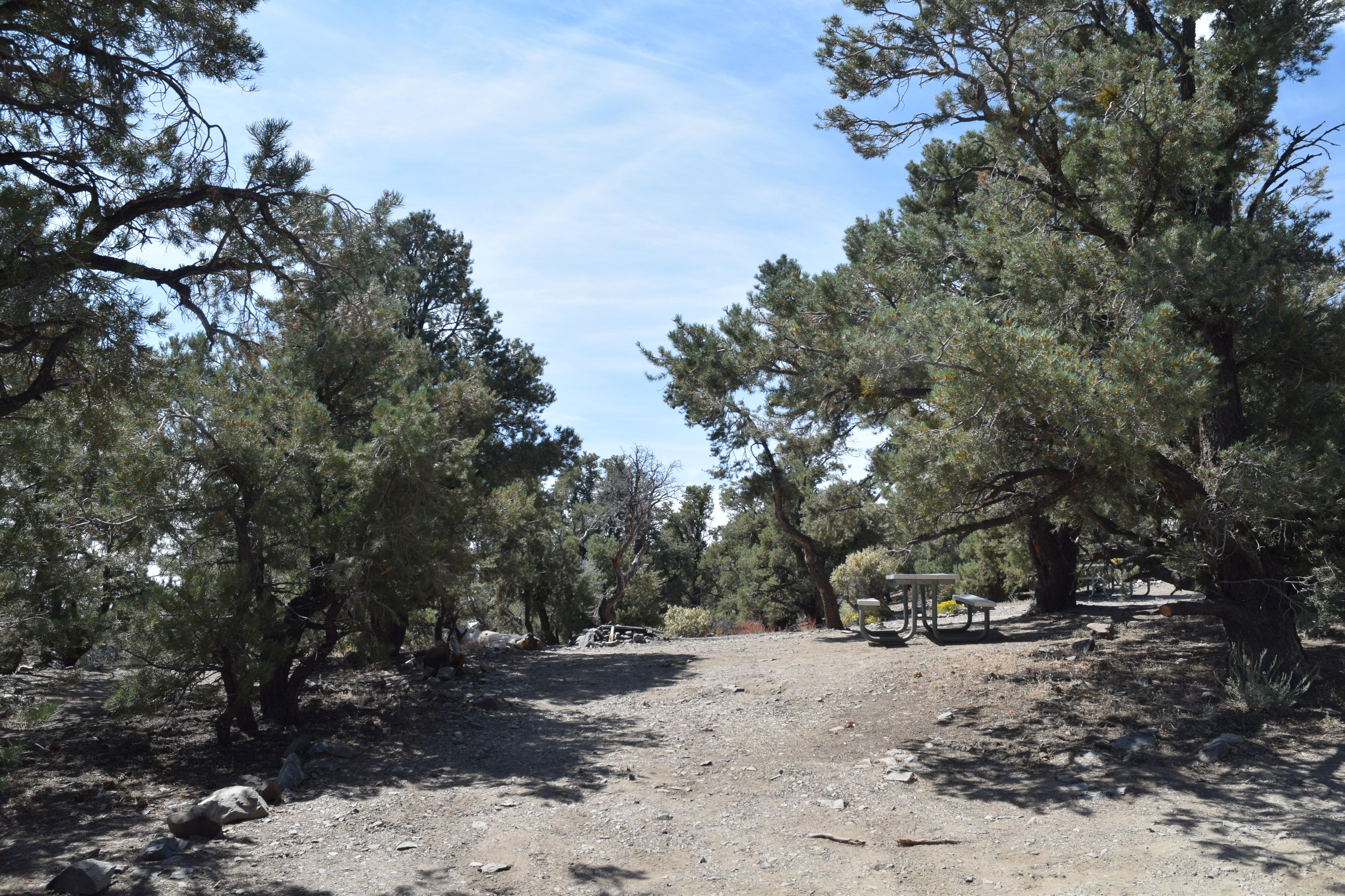 Mahogany Flat Campground — Mahogany Flat Campground Sample Site #1