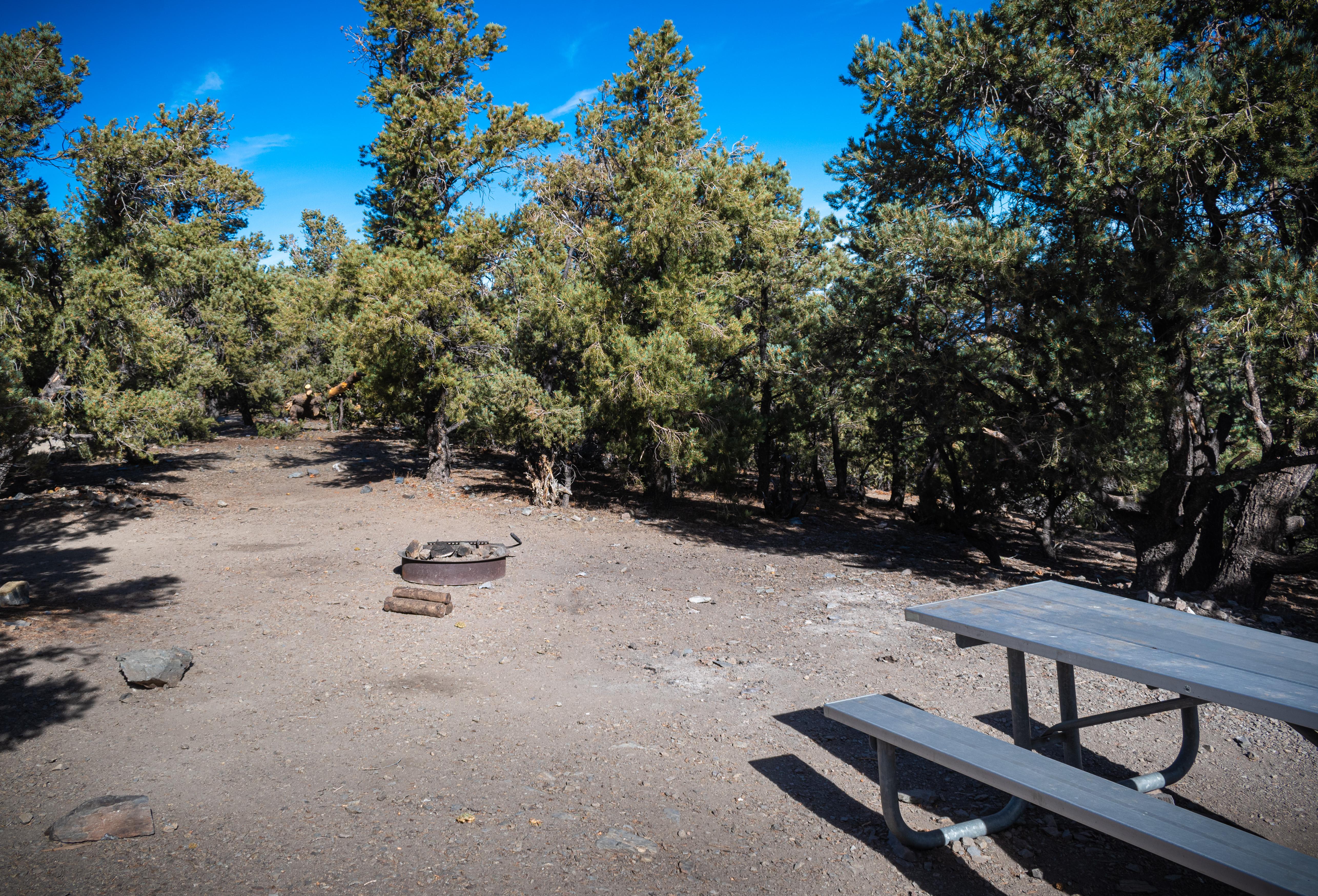 Mahogany Flat Campground — Mahogany Flat Campground Sample Site #2