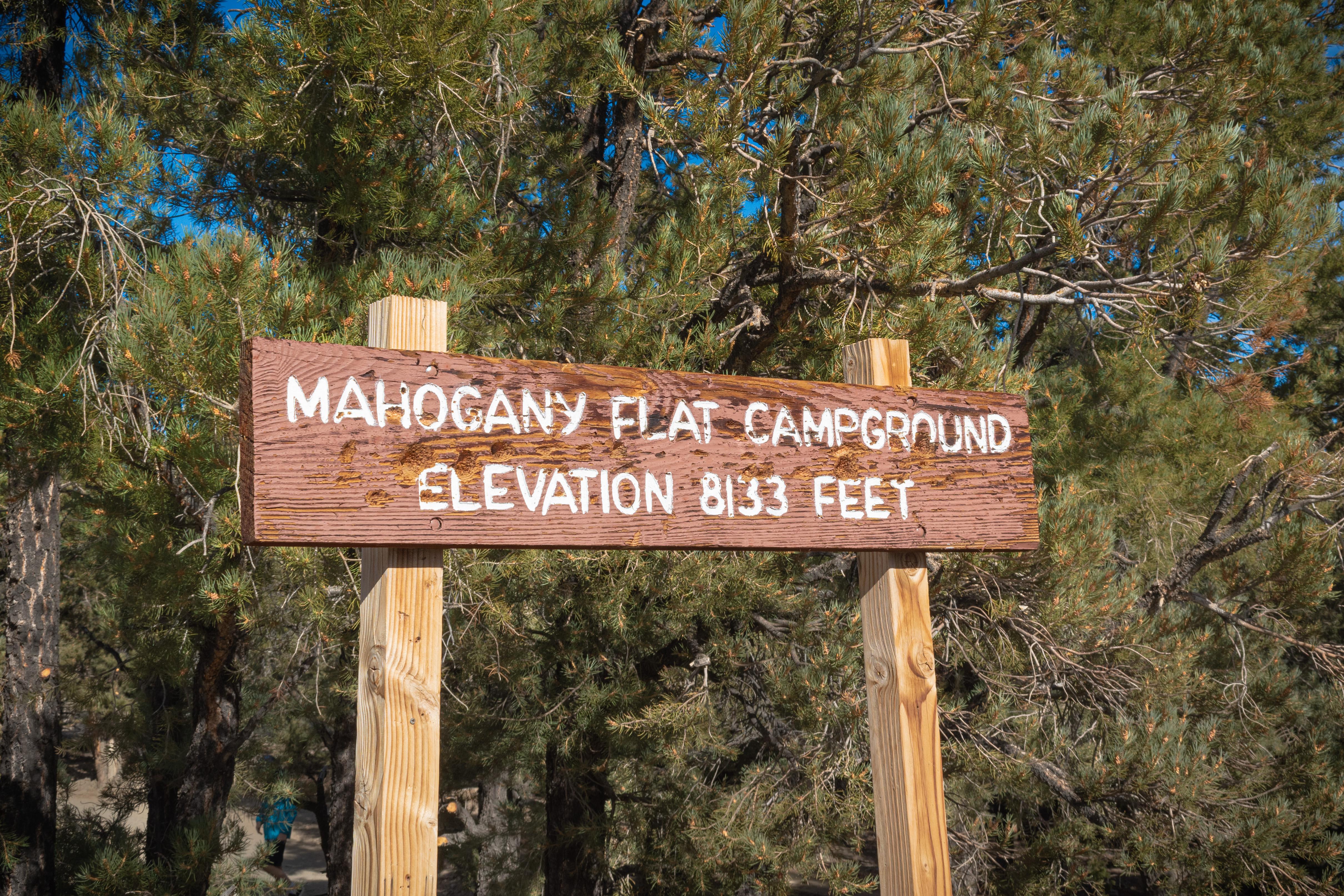 Mahogany Flat Campground