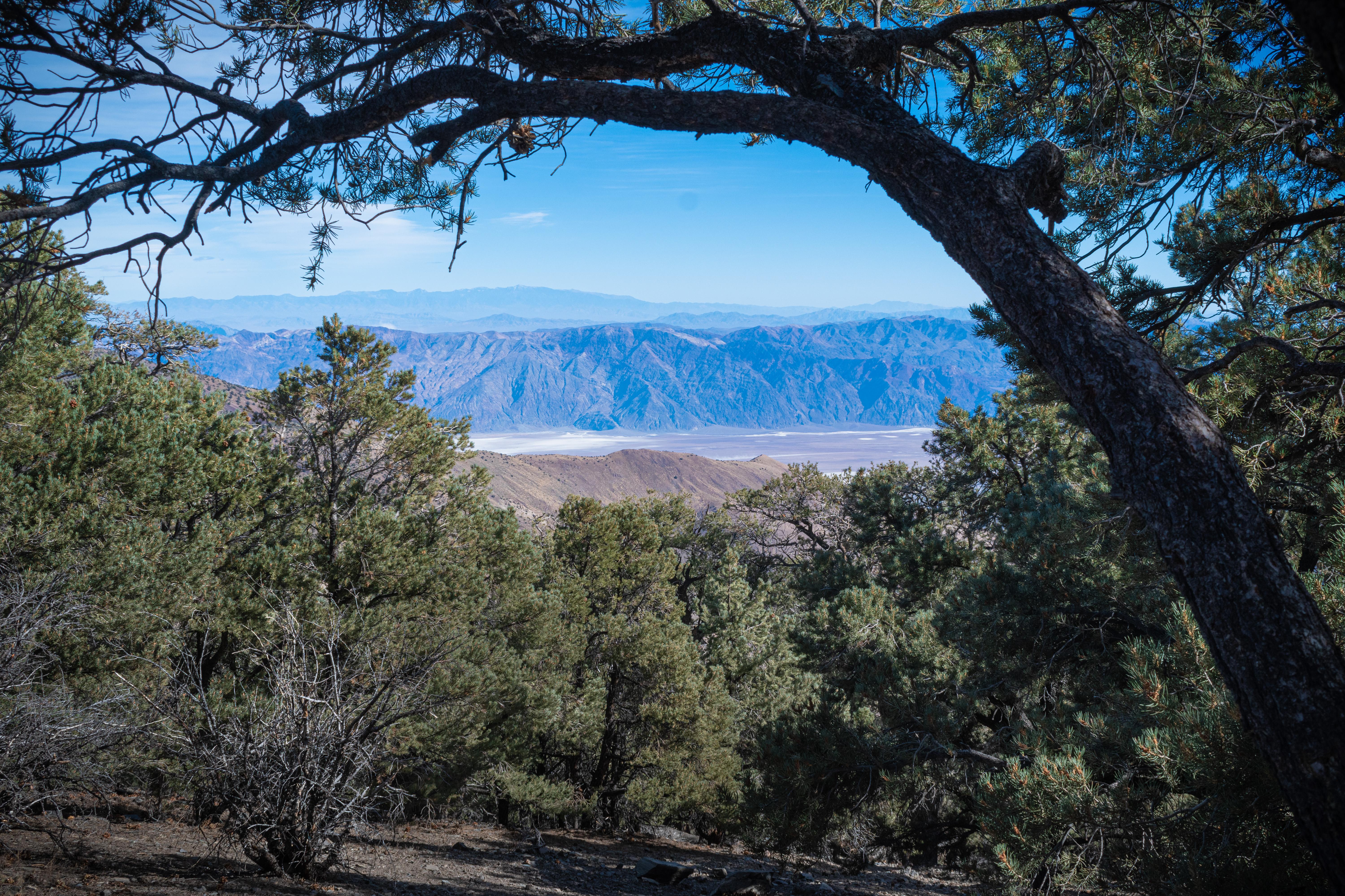 Mahogany Flat Campground — More Views from the Campground