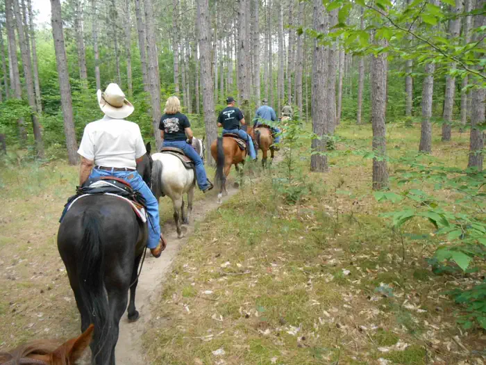 Hungerford Equestrian Group Campsite — Hungerford Horse Trail, Manistee National Forest