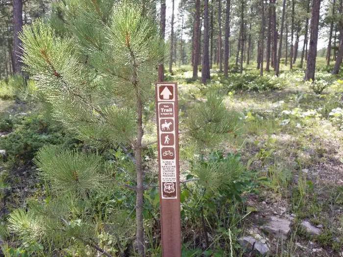 Reuter Campground — Rueter Trail Signage