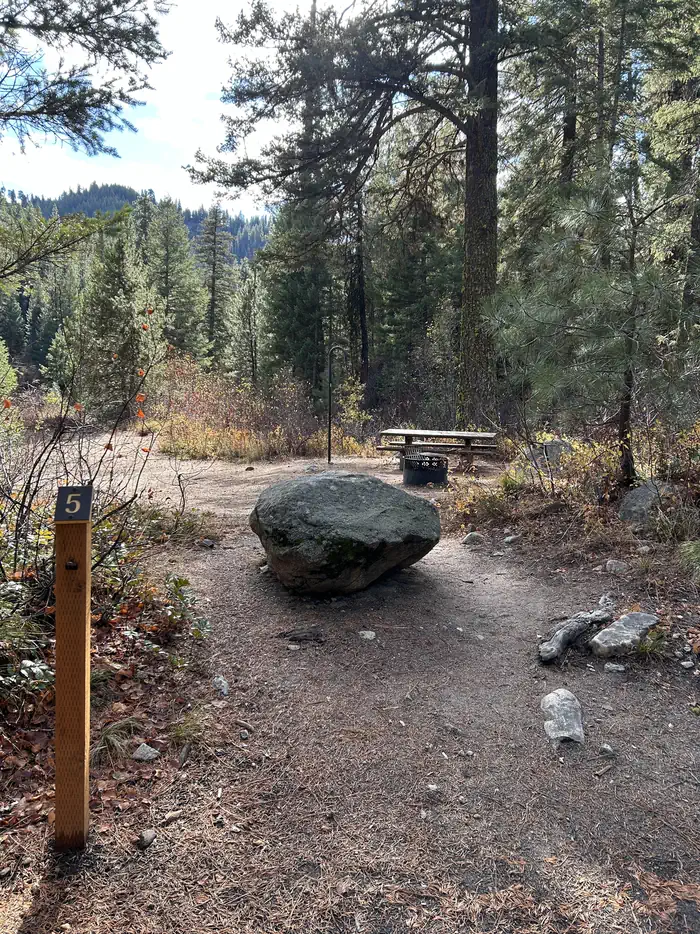 Bad Bear — Path to Site 5