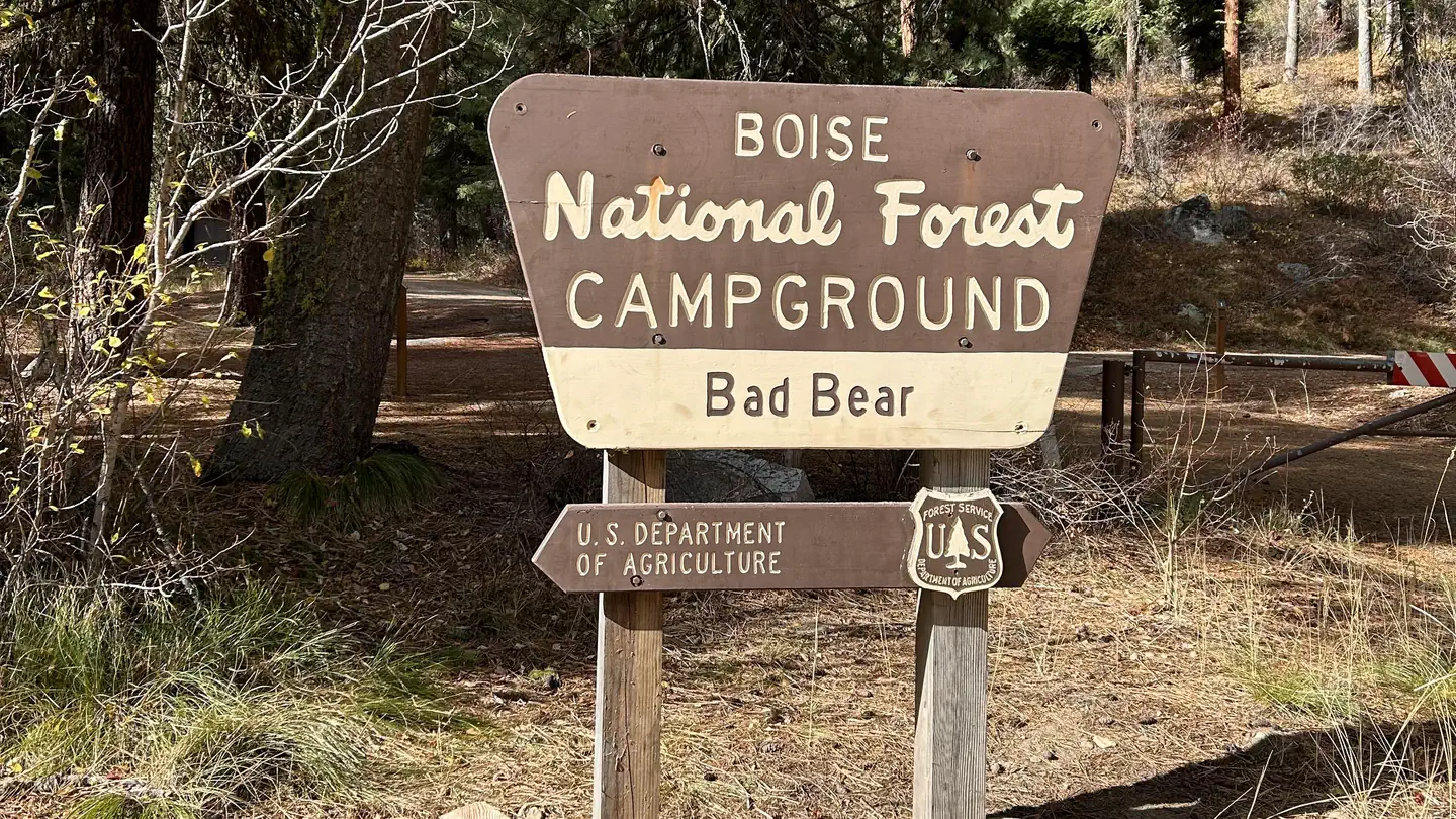 Bad Bear