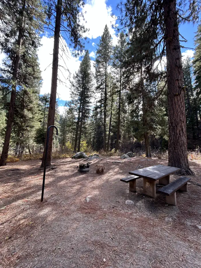 Bad Bear — Campsite with picnic table, fire ring, and lantern hook.