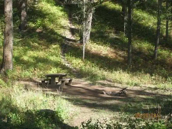 Cabin Creek Campground — Cabin Creek campsite surrounded by pine trees, picnic table and fire ring