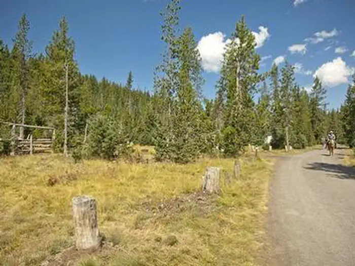Quinn Meadow Horse Camp — QUINN MEADOW HORSE CAMP