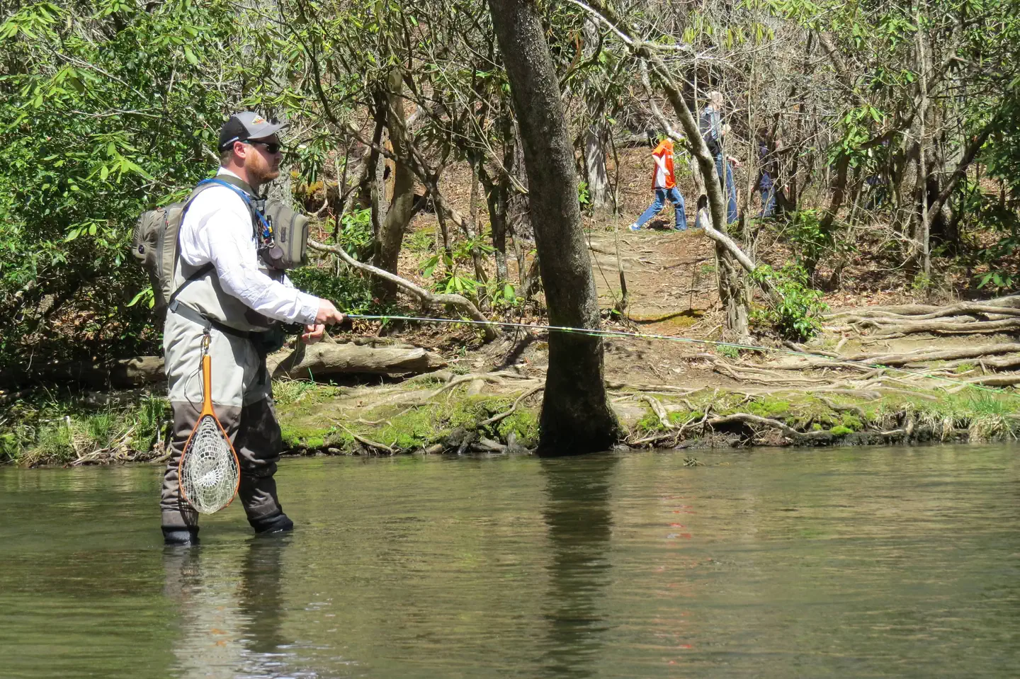 Abram's Creek Campground — Fishing in Abrams Creek
