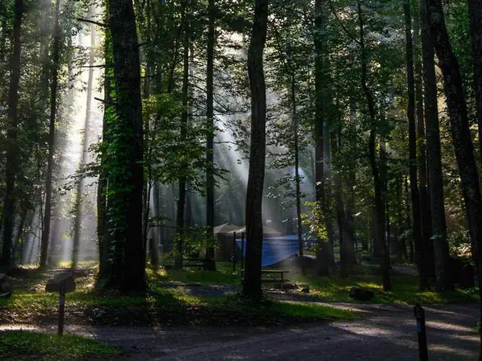 Abram's Creek Campground — Campground