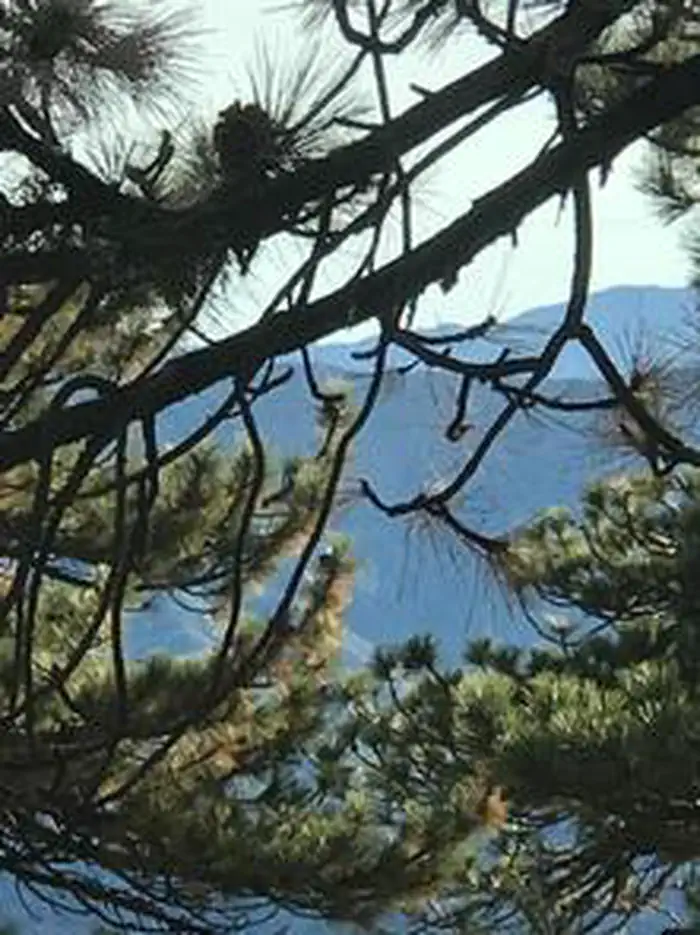 Reyes Peak Campground — REYES PEAK CAMPGROUND
