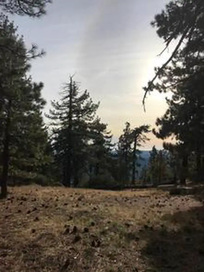 Reyes Peak Campground — REYES PEAK CAMPGROUND