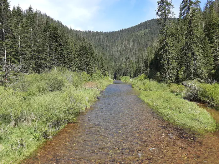 Honeysuckle Campground — Little North Fork of the Coeur d'Alene River