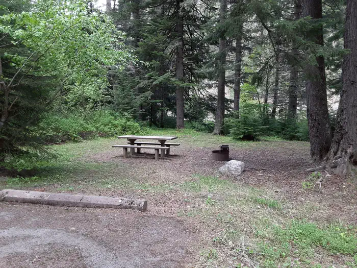 Honeysuckle Campground — Campsite at Honeysuckle Campground