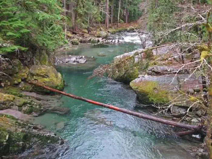 Ohanapecosh Campground — OHANAPECOSH RIVER
