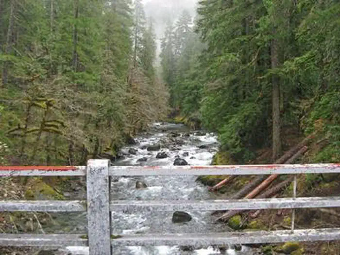 Ohanapecosh Campground — OHANAPECOSH RIVER FROM THE CAMPGROUND BRIDGE