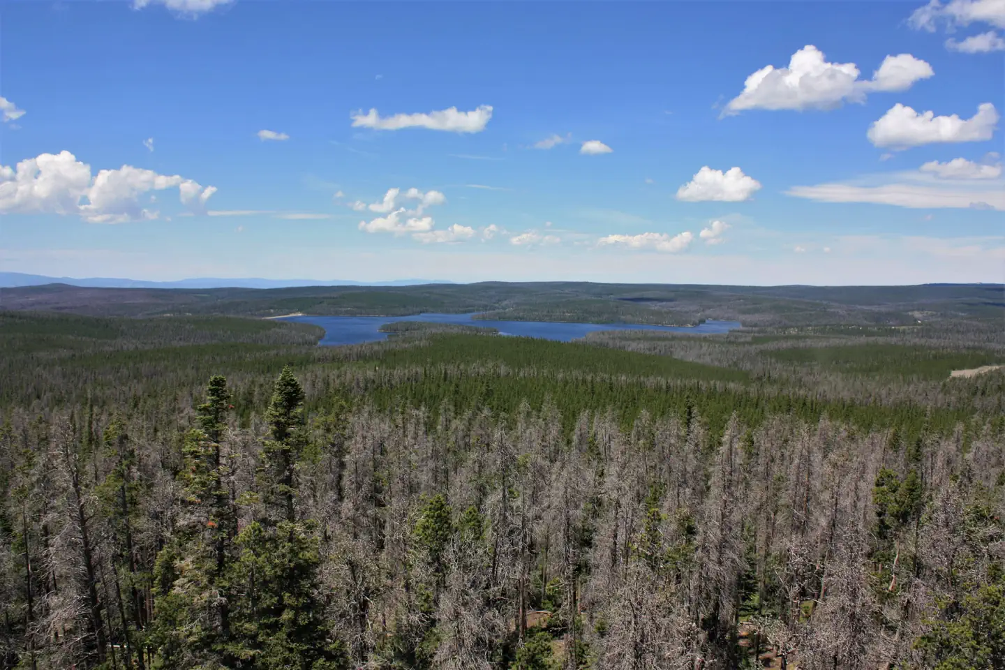 Spruce Mtn Fire Lookout Tower — Spruce Mountain Fire Lookout Tower views3