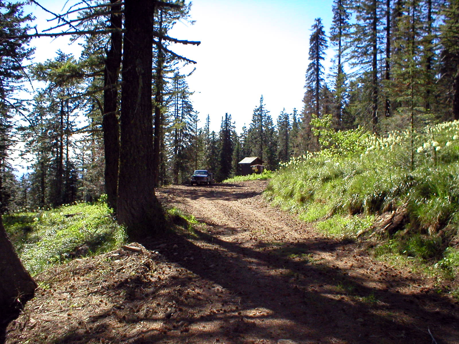 Tingley Spring - BLM