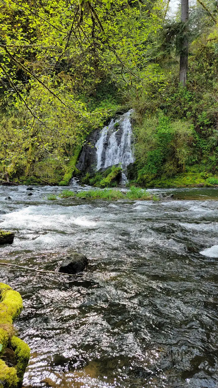 Alder Glen Recreation Site — Alder Glen waterfall