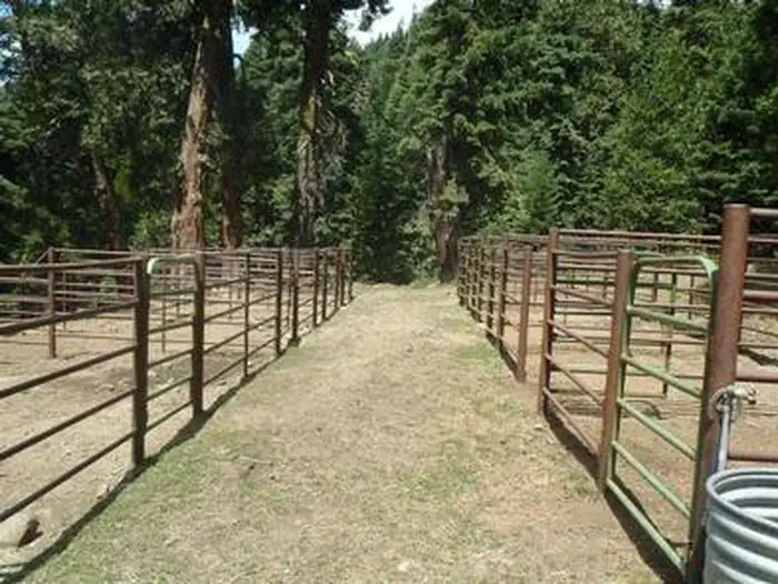 Carter Meadows Horse Campground — CARTER MEADOWS HORSE GROUP