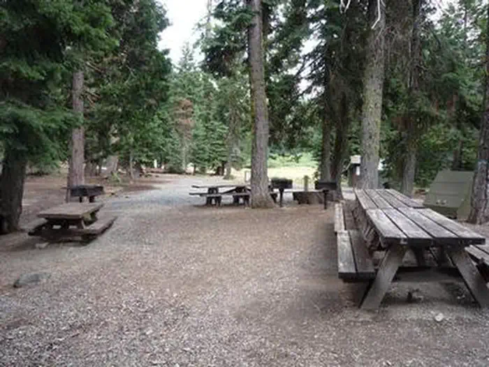Carter Meadows Horse Campground — CARTER MEADOWS HORSE GROUP