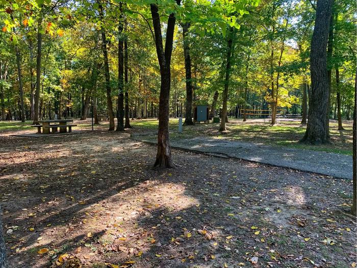 Shagbark Group Area — Shagbark Group Area Campsite and View of Volleyball Area