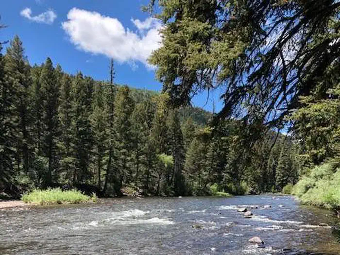 Rio Grande National Forest Mogote Campground — Conejos River at Aspen Glade Campground