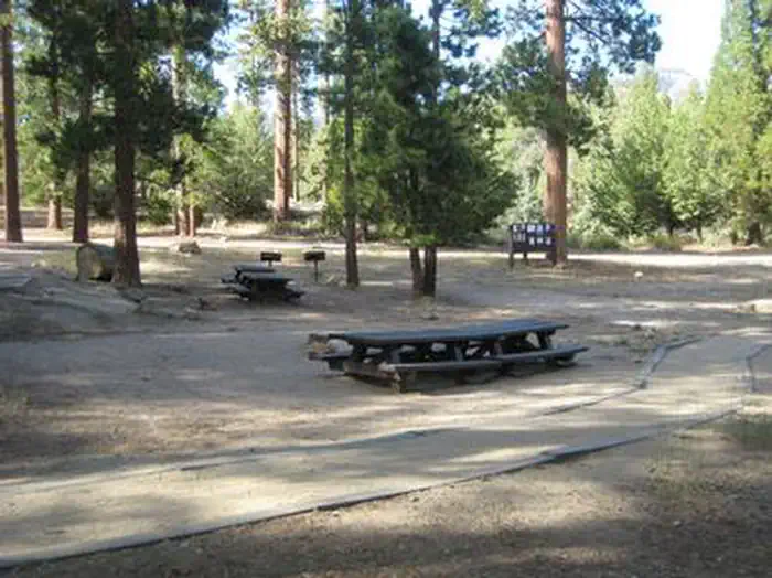 Council Group Campground — Picnic Tables at Council Camp
