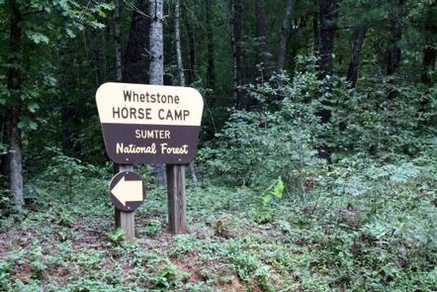 Whetstone Horse Camp — WHETSTONE HORSE CAMP