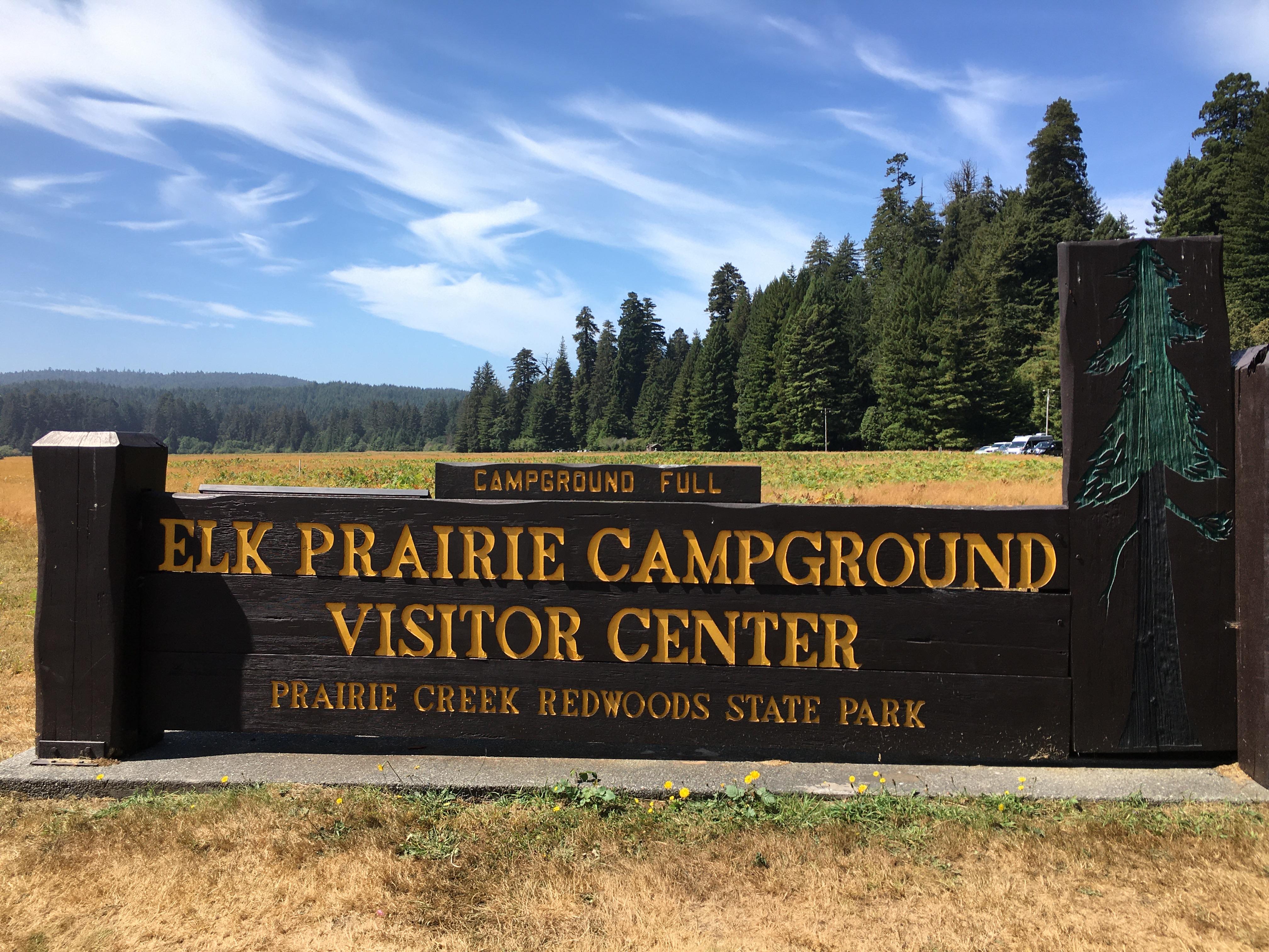 Elk Prairie Campground, Prairie Creek Redwoods