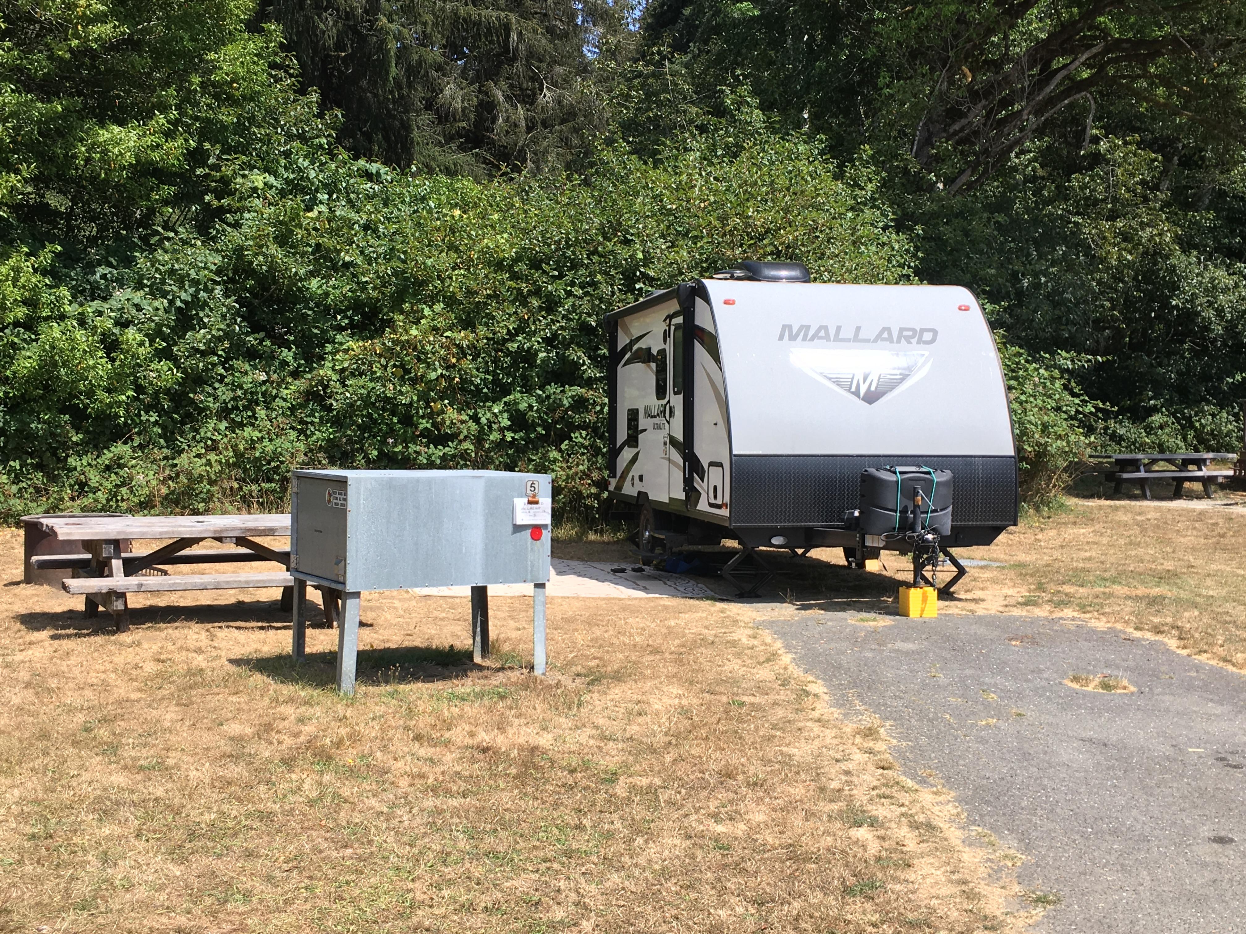 Elk Prairie Campground, Prairie Creek Redwoods  — Example of site at Elk Prairie Campground