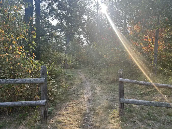 Gabions Campground — A photo of trail to Ausable River at Gabions Campground