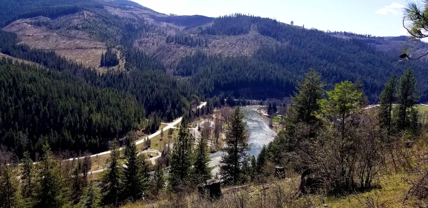 Huckleberry Campground — River View Above Huckleberry Campground