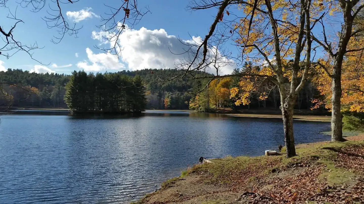 Julian Price Park Campground