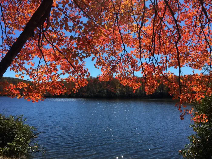 Julian Price Park Campground — View of Price Lake from Site A9