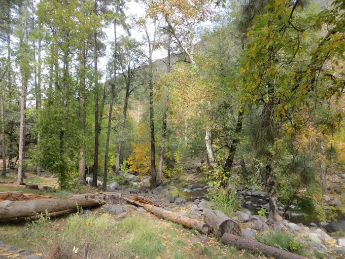 Manzanita Campground — Manzanita Campground river