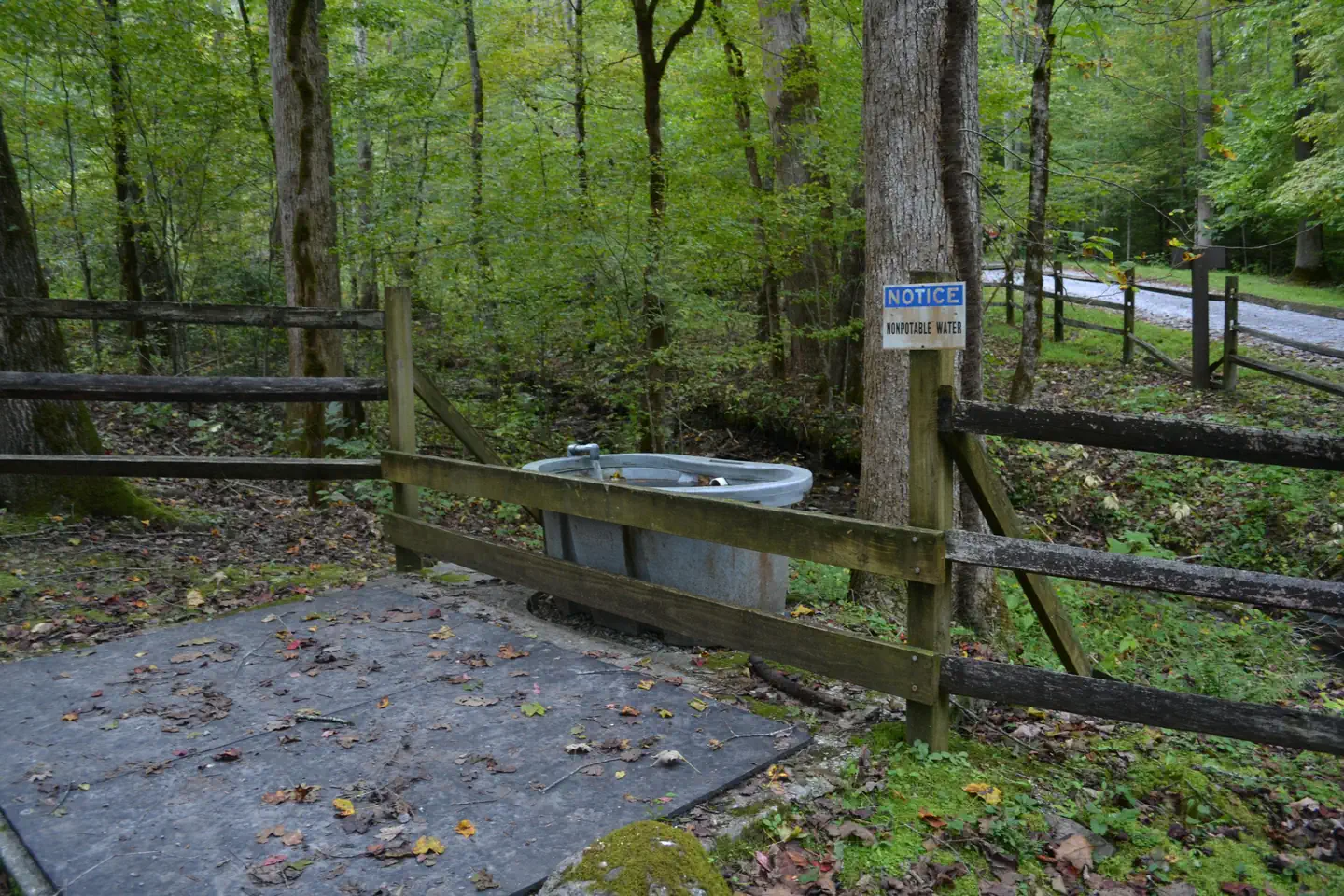 Big Creek Horse Camp — Big Creek Horse Camp water source for horses