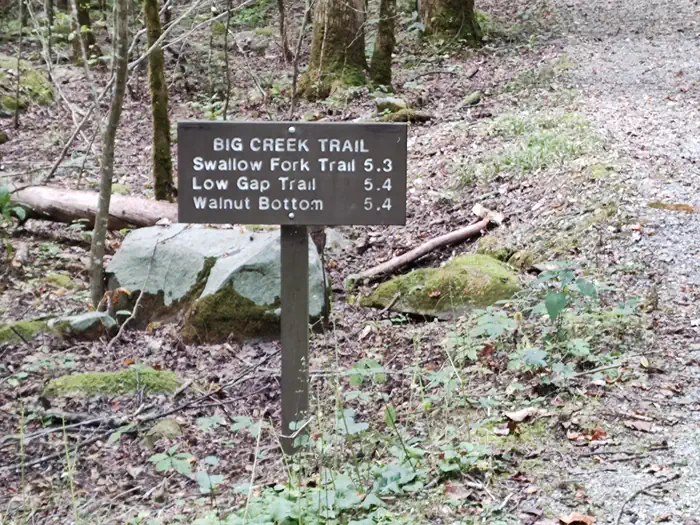 Big Creek Horse Camp — Big Creek Trail