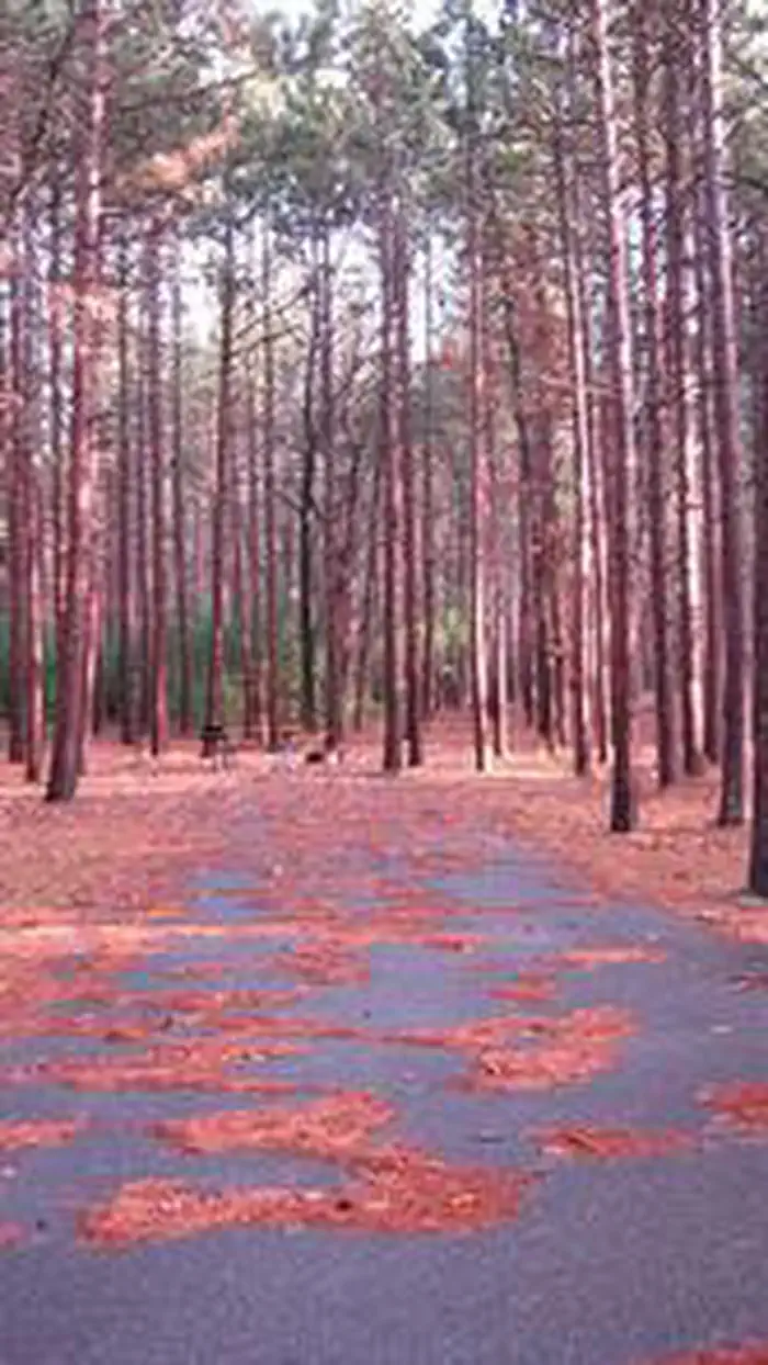 Monument Campground — MONUMENT CAMPGROUND