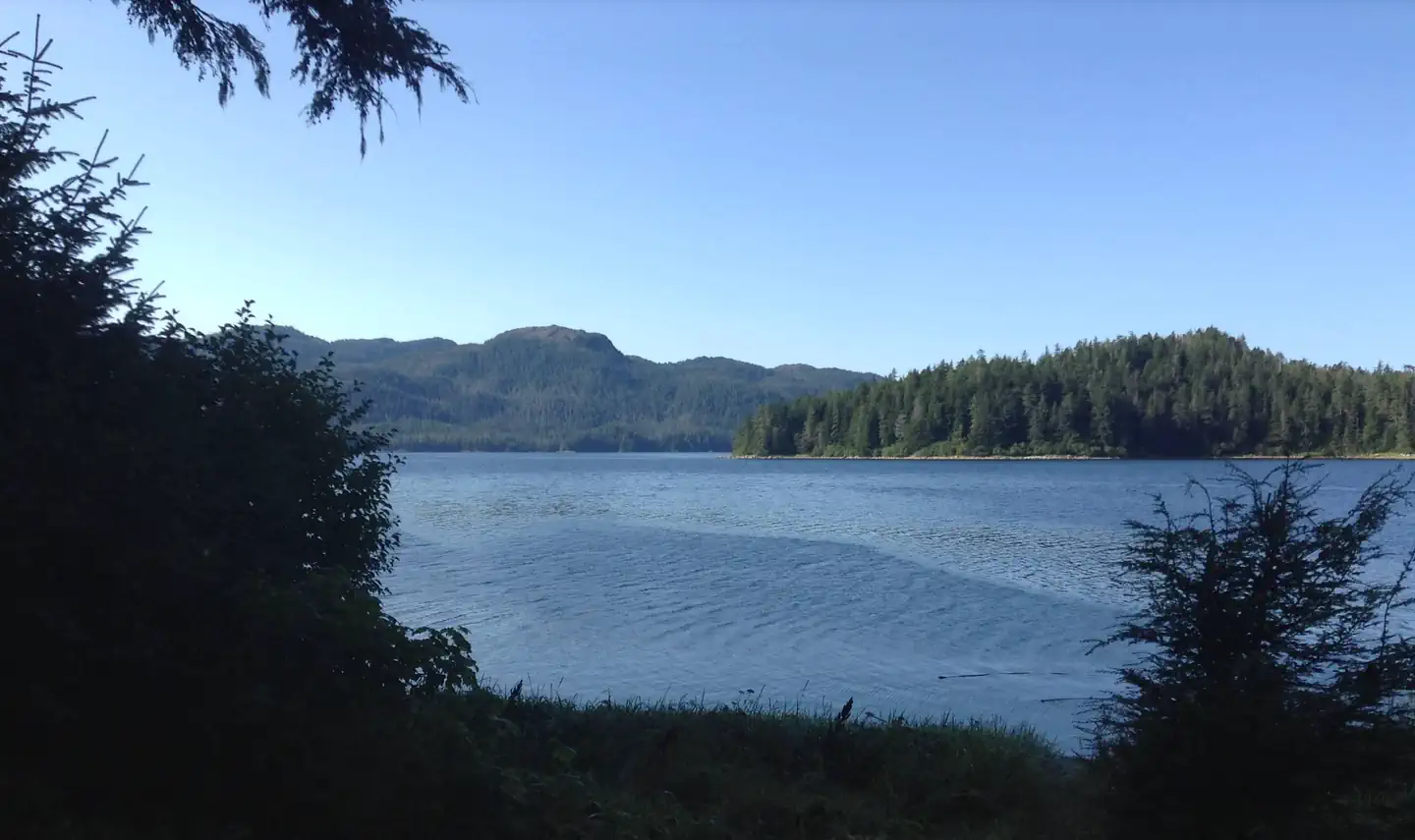 Piper Island Cabin — Piper Island Cabin