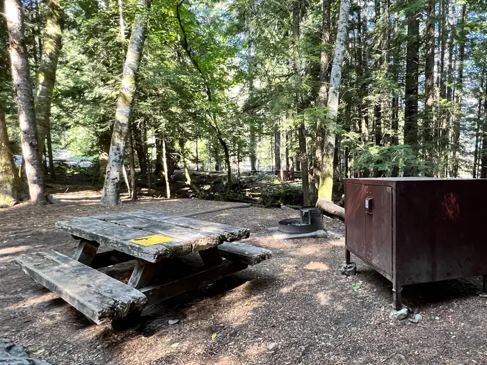 Colonial Creek North Campground — Tent pad, picnic table, fire grate and bear box at campsite.