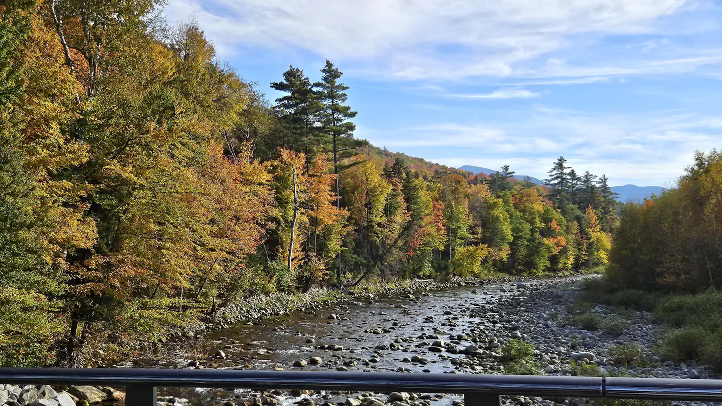 Barnes Field Campground