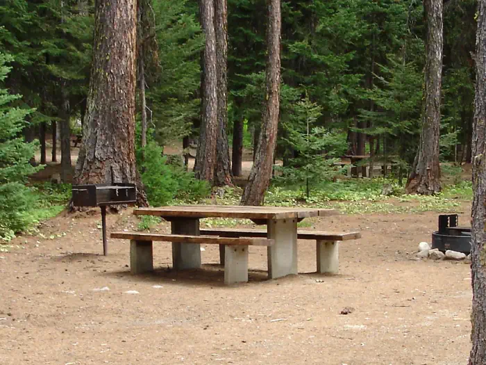 Kennally Creek — Campsite in forested setting