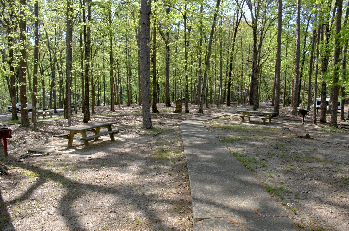 COOPER BRANCH No 2 DAY USE AREA (GA) β Cooper's Branch #2 Picnic Area