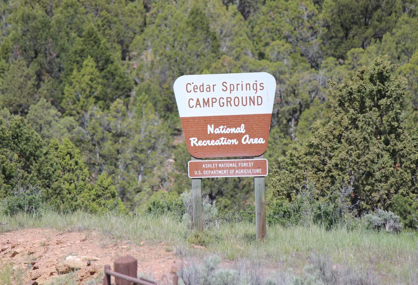 Cedar Springs Campground — Cedar Springs Campground sign at the entrance of the campground.