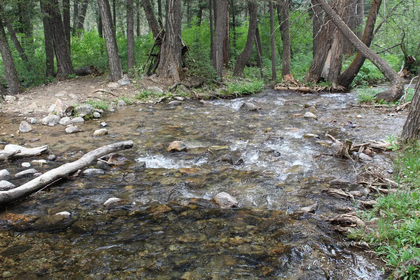 Spanish Creek Picnic Area — Little Hellroaring Creek