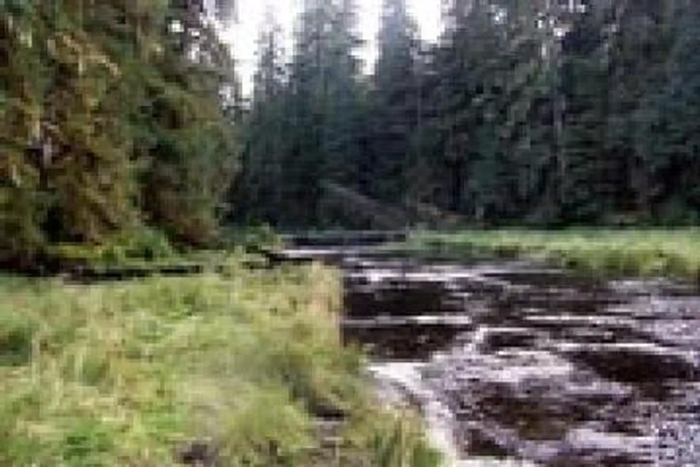 Sweet Water Lake Cabin β SWEET WATER LAKE CABIN1