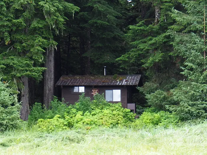 Harding River Cabin β Harding River Cabin brown cabin surrounded by trees and greenery
